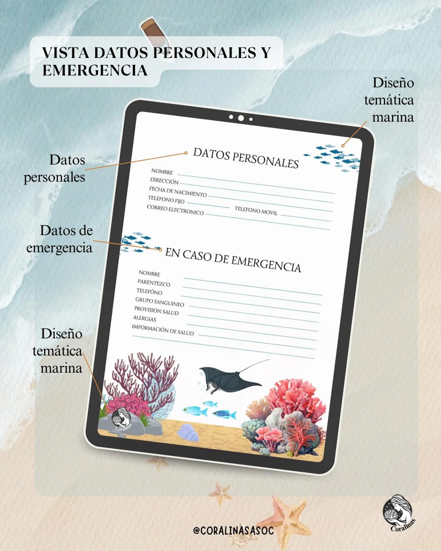 Medusa Agenda 2025 | Digital and Printable | Marine Theme Planner with Fauna and Flora of the Sea | Ideal for Personal Organization